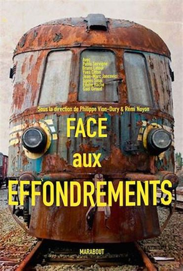 Face aux chocs écologiques : 12 entretiens pour comprendre l&#39;anthropocène - PHILIPPE VION-DURY - RÉMI NOYON