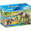 Éléphants et soigneur
