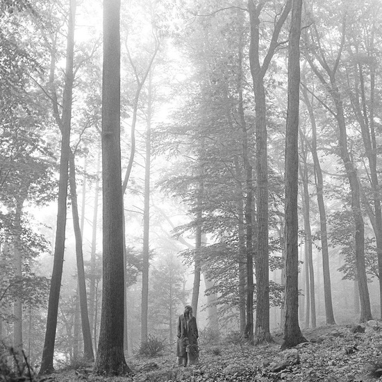 Folklore "In The Trees"(2 Vinyles) - TAYLOR SWIFT