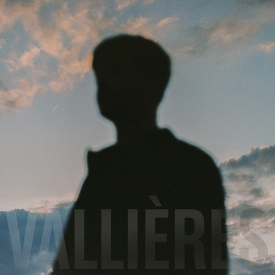 Toute beauté n'est pas perdue - VINCENT VALLIERES