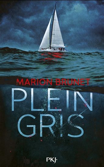Plein gris - MARION BRUNET