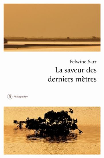 La Saveur des derniers mètres - FELWINE SARR