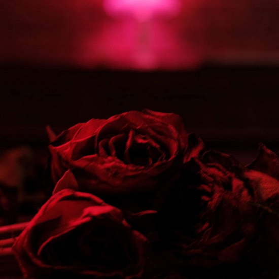 Roses (Vinyl) - PAPER KITES(THE)