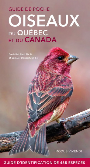 Guide de poche Oiseaux du Québec et du Canada - BIRD - DAVID M