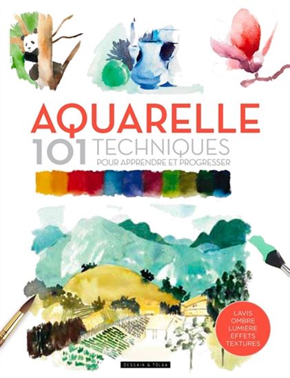 Aquarelle : 101 techniques pour apprendre et progresse N. éd. - DAVID SANMIGUEL & AL
