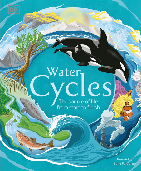 Water Cycles - COLLECTIF