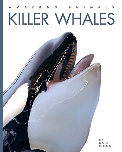 Killer Whales - KATE RIGGS
