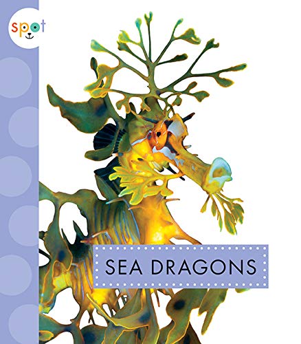 Sea Dragons - MARI SCHUH
