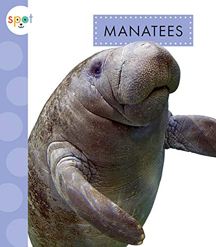 Manatees - MARI SCHUH