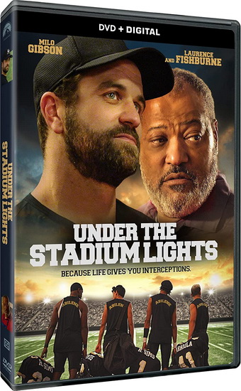 Under the Stadium Lights - TODD RANDALL