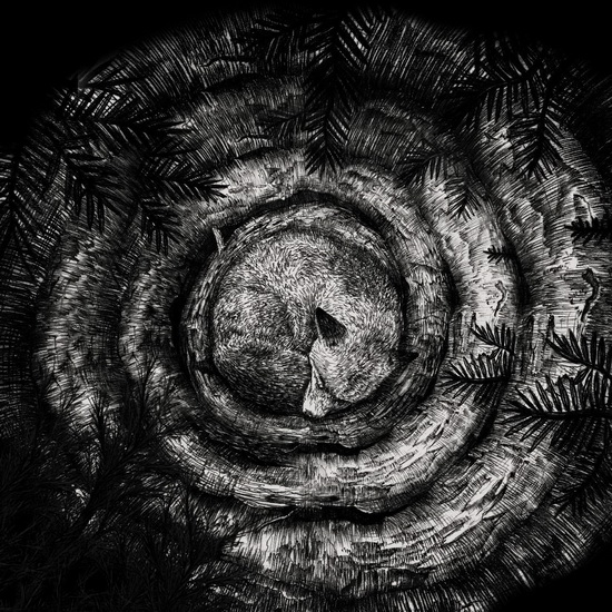 Forhist  (IMPORT) - FORHIST
