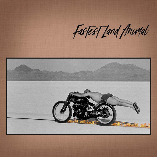 Fastest Land Animal(Vinyl) - FASTEST LAND ANIMAL