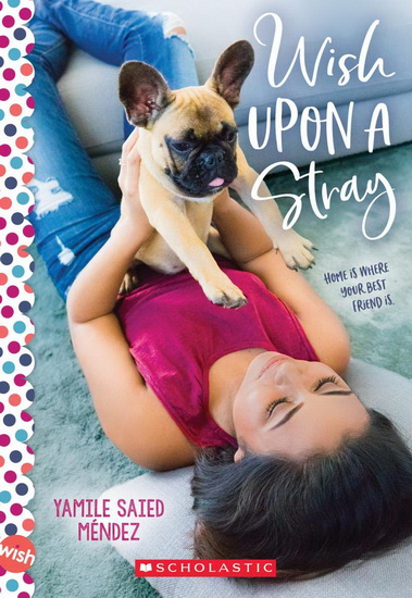 Wish Upon a Stray - YAMILE SAIED MÉNDEZ