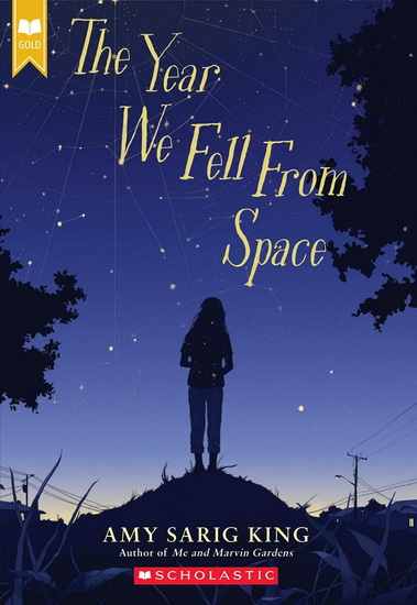 Year We Fell From Space, The - AMY SARIG KING