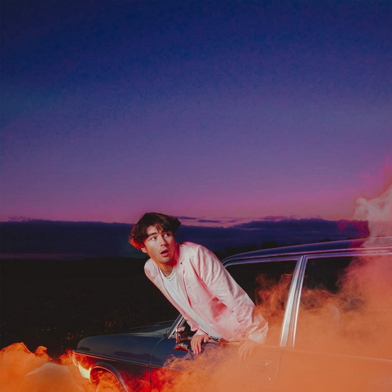 Forever Isn'T Long Enough(Vinyl) - ALFIE TEMPLEMAN