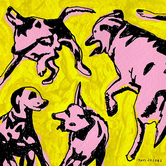 Pink Dogs On The Green Grass (Vinyl) - PAUL JACOBS