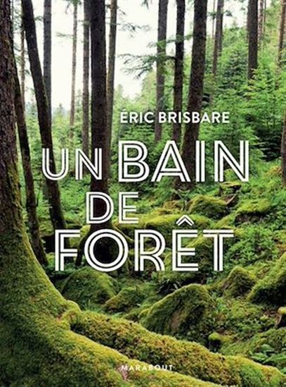 Un bain de forêt : découvrez le pouvoir de la sylvothérapie Éd. illustrée - ERIC BRISBARE