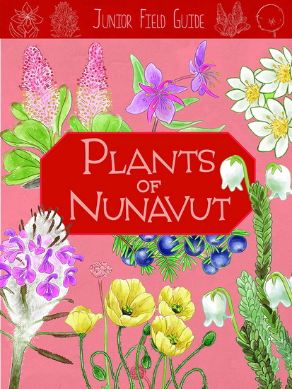 Junior Field Guide: Plants of Nunavut - CAROLYN MALLORY
