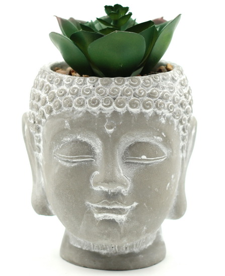Plante en pot Bouddha