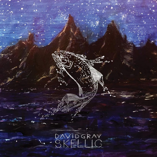 Skellig(2Vinyl) - DAVID GRAY