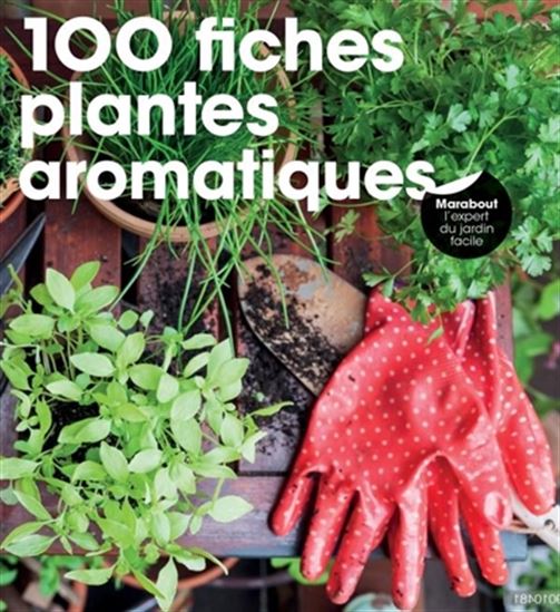 100 fiches plantes aromatiques - COLLECTIF