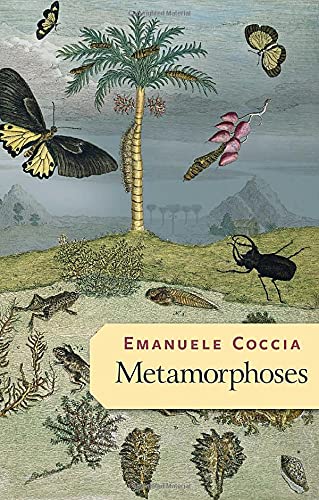 Metamorphoses - EMANUELE COCCIA