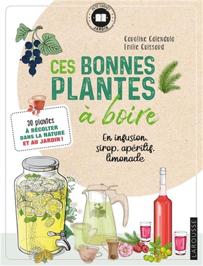 Ces bonnes plantes à boire : en infusion, sirop, apéritif, limonade - CAROLINE CALENDULA - EMILIE CUISSARD