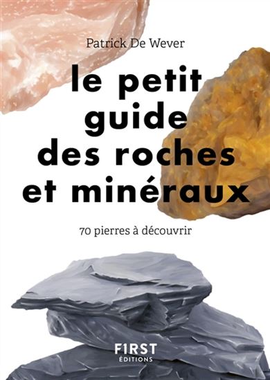 Le Petit guide des roches et minéraux : 70 pierres à découvrir - PATRICK DE WEVER - LISE HERZOG