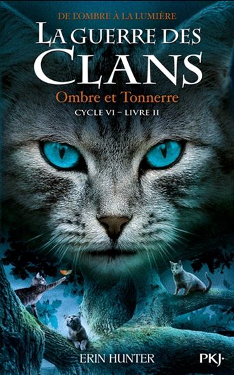 De l'ombre à la lumière #02 Ombre et tonnerre - ERIN HUNTER