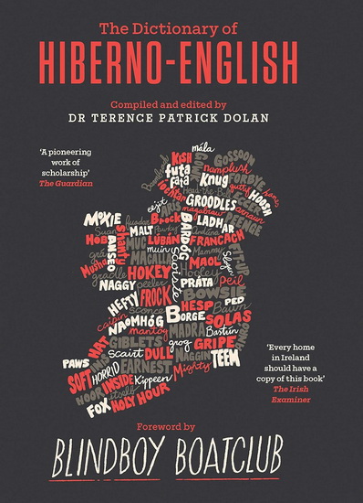 A Dictionary of Hiberno English - TERENCE DOLAN