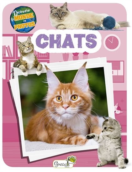 Chats - COLLECTIF