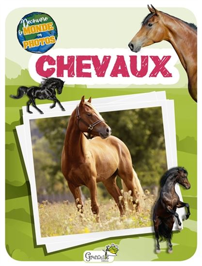 Chevaux - COLLECTIF