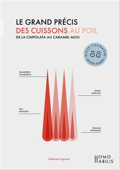 Le Grand précis des cuissons au poil : de la chipolata au caramel mou - STÉPHANE LAGORCE
