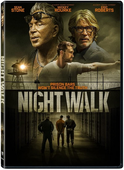 Night Walk - AZIZ TAZI