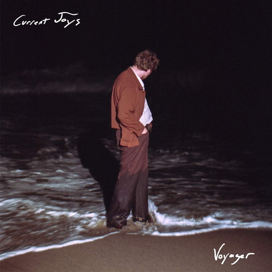 Voyager (2Vinyl) - CURRENT JOYS