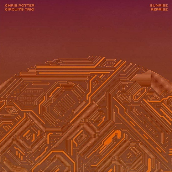 Sunrise Reprise (Vinyl) - CHRIS POTTER
