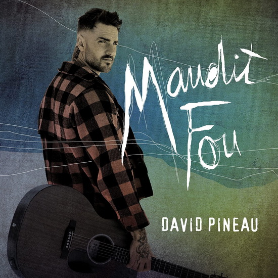Maudit Fou - DAVID PINEAU