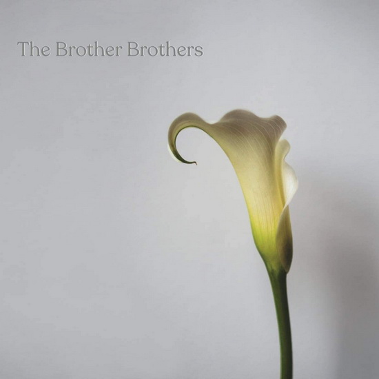 Calla Lily - THE BROTHER BROTHERS