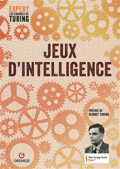 Expert : les énigmes de Turing T.02 Jeux d&#39;intelligence - ERIC SAUNDERS