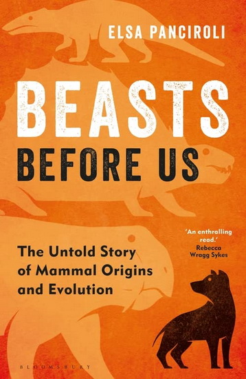 Beasts Before Us - ELSA PANCIROLI