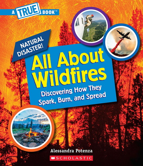 All About Wildfires - ALESSANDRA POTENZA