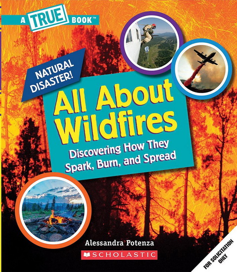 All About Wildfires - ALESSANDRA POTENZA
