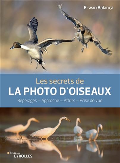 Les Secrets de la photo d'oiseaux : repérages, approche, affûts, prise de vue - ERWAN BALANÇA