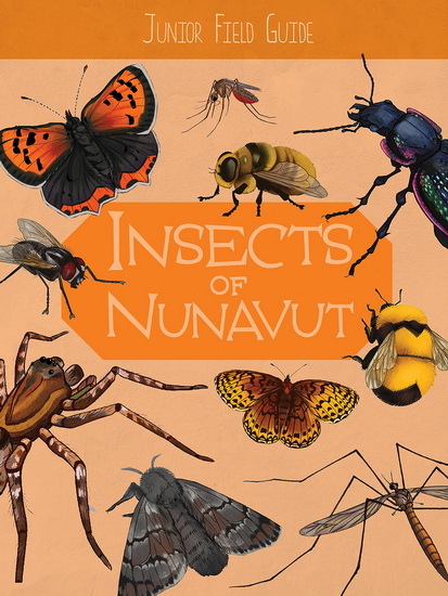 Junior Field Guide: Insects of Nunavut - JORDAN HOFFMAN - ATHENA GUBBE