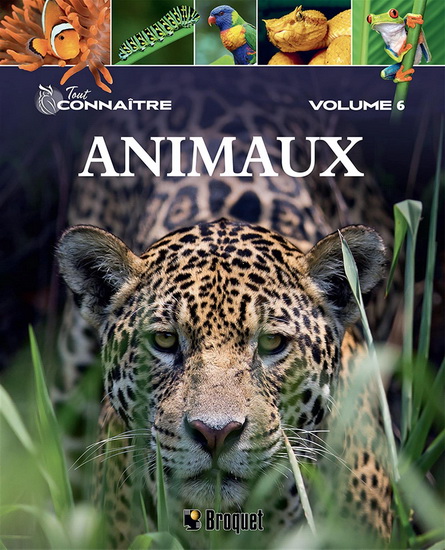 Animaux #06 - MICHAEL LEACH - MERIEL LLAND
