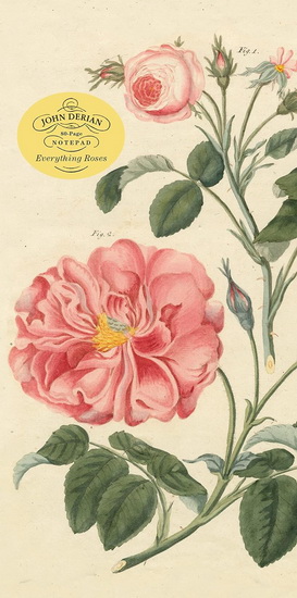 John Derian Paper Goods: Everything Roses Notepad - JOHN DERIAN