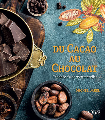 Du cacao au chocolat : l&#39;épopée d&#39;une gourmandise 3e éd - MICHEL BAREL