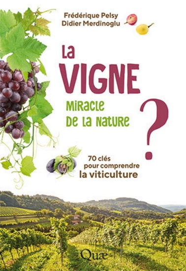 La Vigne, miracle de la nature ? : 70 clés pour comprendre la viticulture - FRÉDÉRIQUE PELSY - DIDIER MERDINOGLU