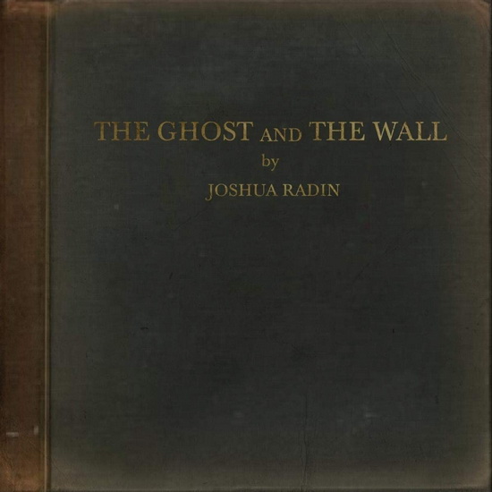 The Ghost And The Wall - JOSHUA RADIN