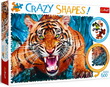 Faire face au tigre 600 mcx